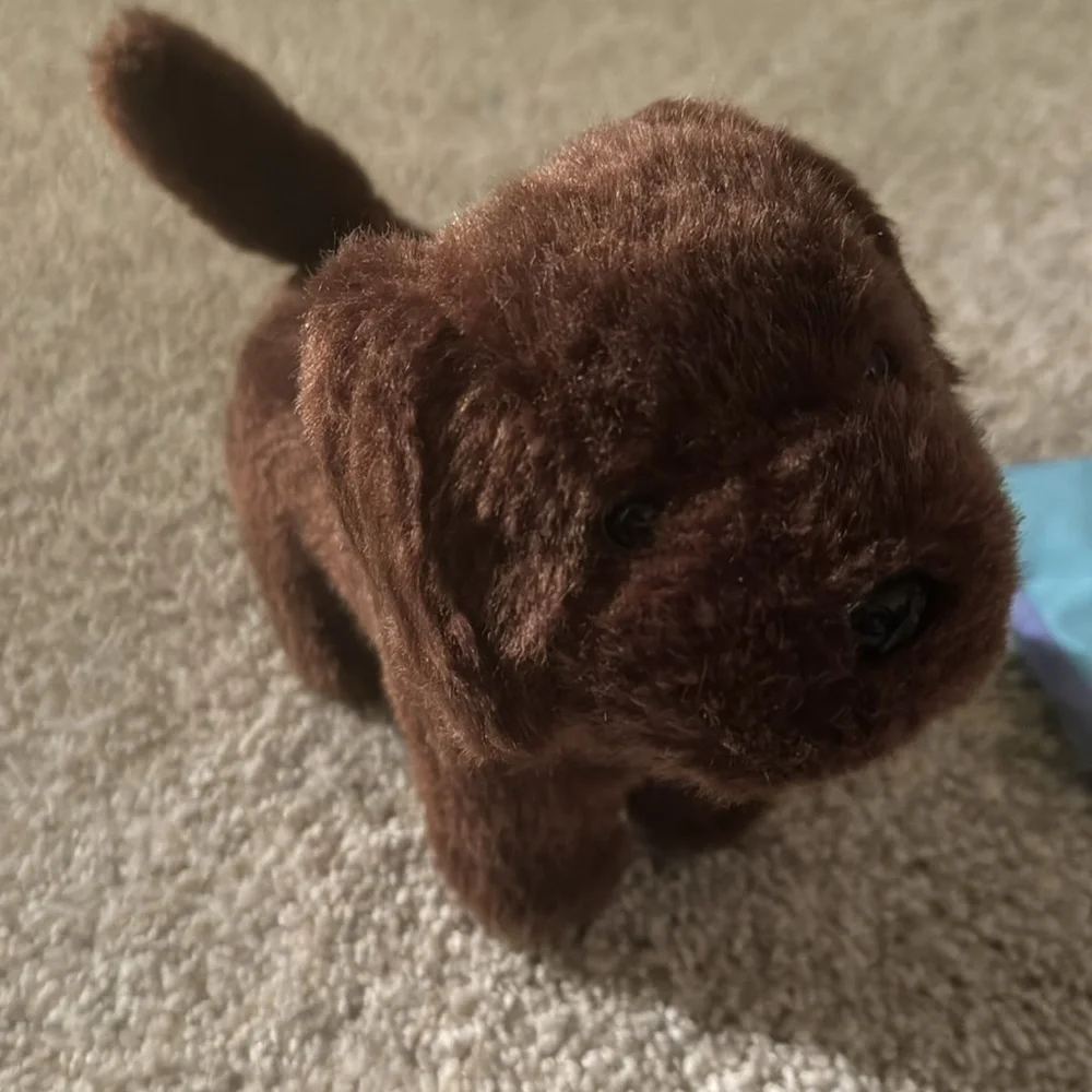 American Girl Dog and Accessories